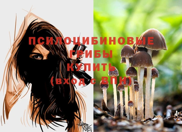 хмурый Балахна