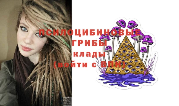 бутират Баксан