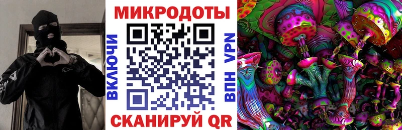 купить   Невель  Псилоцибиновые грибы MAGIC MUSHROOMS 